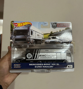 Mercedes Benz 300 SL Euro Hauler